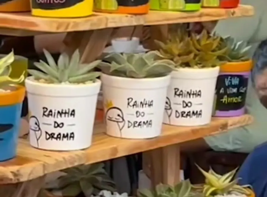 Banca de vasos e plantas personalizados